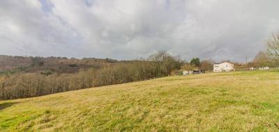 Terrain à Peyzac-le-Moustier en Dordogne (24) de 3000 m² à vendre au prix de 63000€ - 1