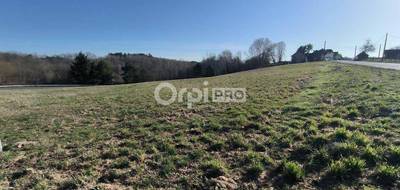 Terrain à Perpezac-le-Noir en Corrèze (19) de 6660 m² à vendre au prix de 25000€ - 2