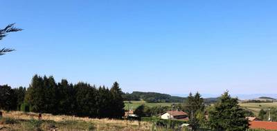 Terrain à Violay en Loire (42) de 1000 m² à vendre au prix de 85000€ - 3