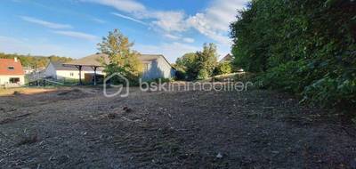 Terrain à Hangest-sur-Somme en Somme (80) de 2500 m² à vendre au prix de 60000€ - 4