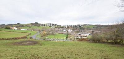 Terrain à Tulle en Corrèze (19) de 2685 m² à vendre au prix de 17000€ - 2