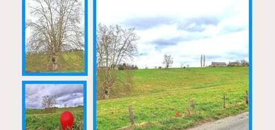 Terrain à Malemort en Corrèze (19) de 1500 m² à vendre au prix de 46700€ - 4