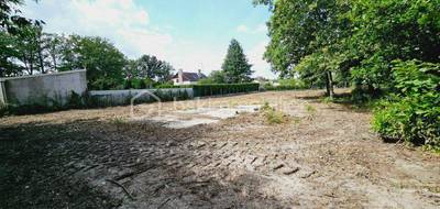 Terrain à Vrigny en Loiret (45) de 7969 m² à vendre au prix de 49990€ - 3
