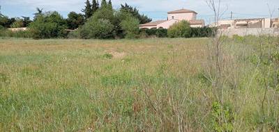 Terrain à Paraza en Aude (11) de 523 m² à vendre au prix de 75000€ - 4