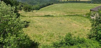 Terrain à Pampelonne en Tarn (81) de 2400 m² à vendre au prix de 65000€ - 2