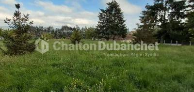Terrain à Cordelle en Loire (42) de 1158 m² à vendre au prix de 87000€ - 3