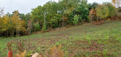 Terrain à Sarlat-la-Canéda en Dordogne (24) de 3310 m² à vendre au prix de 45000€ - 2