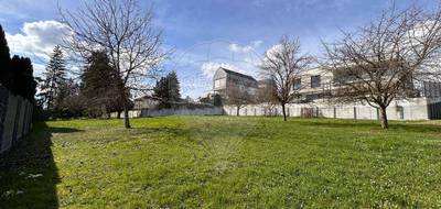 Terrain à Ranspach-le-Bas en Haut-Rhin (68) de 904 m² à vendre au prix de 253000€ - 3