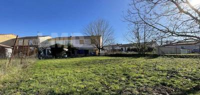 Terrain à Albi en Tarn (81) de 449 m² à vendre au prix de 52320€ - 1