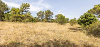Terrain à Malves-en-Minervois en Aude (11) de 8952 m² à vendre au prix de 30000€ - 4