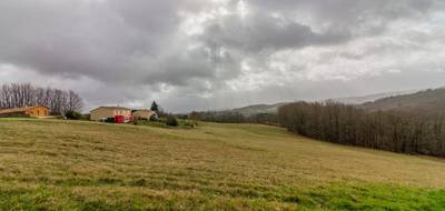 Terrain à Peyzac-le-Moustier en Dordogne (24) de 3000 m² à vendre au prix de 63000€ - 1