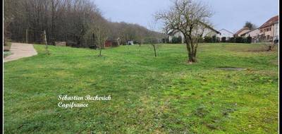 Terrain à Ippling en Moselle (57) de 1000 m² à vendre au prix de 85000€ - 4