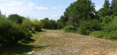 Terrain à Saint-Vallier en Saône-et-Loire (71) de 2742 m² à vendre au prix de 33000€ - 3
