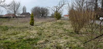 Terrain à Puisieux en Pas-de-Calais (62) de 0 m² à vendre au prix de 23000€ - 1