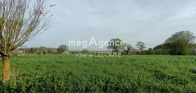 Terrain à Longueval en Somme (80) de 1750 m² à vendre au prix de 36500€ - 4