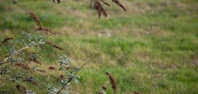 Terrain à Paray-le-Monial en Saône-et-Loire (71) de 1135 m² à vendre au prix de 47000€ - 2