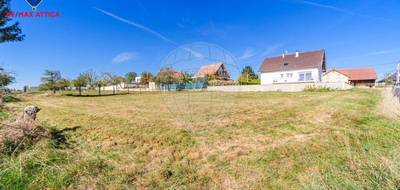 Terrain à Muespach en Haut-Rhin (68) de 995 m² à vendre au prix de 170000€ - 2