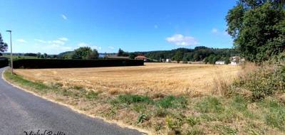 Terrain à Usson-en-Forez en Loire (42) de 2800 m² à vendre au prix de 79900€ - 2