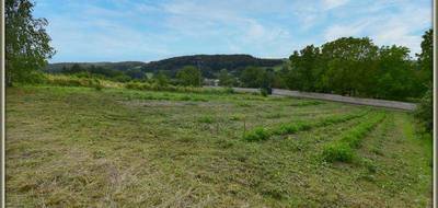 Terrain à Olizy-Primat en Ardennes (08) de 4770 m² à vendre au prix de 86000€ - 3