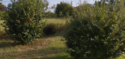 Terrain à Mensignac en Dordogne (24) de 0 m² à vendre au prix de 32990€ - 3