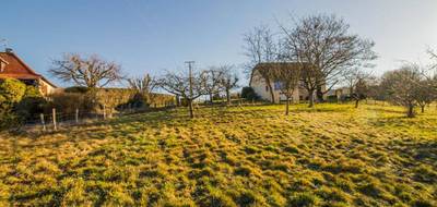 Terrain à Sainte-Fortunade en Corrèze (19) de 2000 m² à vendre au prix de 35000€ - 3