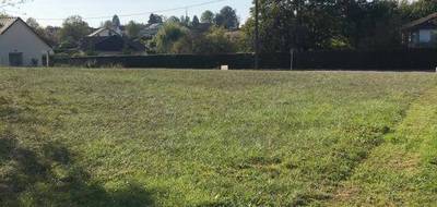 Terrain à Montbozon en Haute-Saône (70) de 1000 m² à vendre au prix de 35000€ - 2