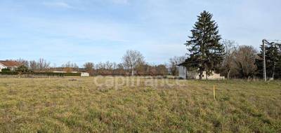 Terrain à Feurs en Loire (42) de 2500 m² à vendre au prix de 99000€ - 2
