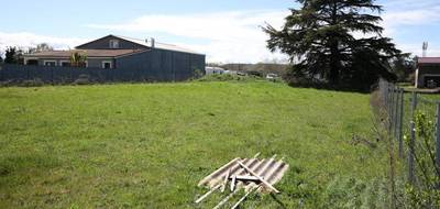Terrain à Pujo en Hautes-Pyrénées (65) de 1203 m² à vendre au prix de 39000€ - 2