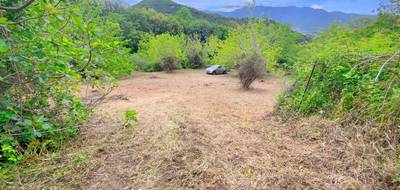 Terrain à Oletta en Haute-Corse (2B) de 3218 m² à vendre au prix de 338000€ - 2