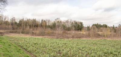 Terrain à Sorel-en-Vimeu en Somme (80) de 9470 m² à vendre au prix de 153000€ - 4