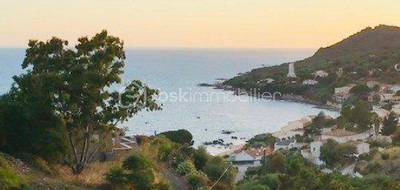 Terrain à Casaglione en Corse-du-Sud (2A) de 6470 m² à vendre au prix de 1008200€ - 1
