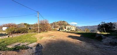 Terrain à Cateri en Haute-Corse (2B) de 1900 m² à vendre au prix de 480000€ - 1