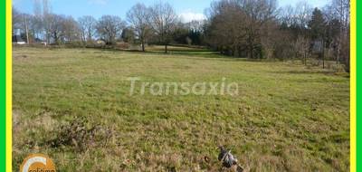 Terrain à Vallon-en-Sully en Allier (03) de 9840 m² à vendre au prix de 64000€ - 1