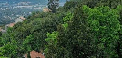 Terrain à Oletta en Haute-Corse (2B) de 3220 m² à vendre au prix de 290000€ - 3