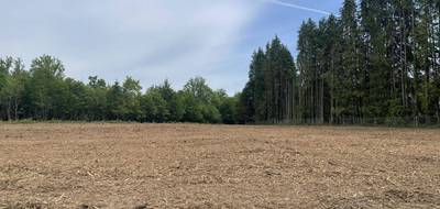 Terrain à Royères en Haute-Vienne (87) de 2624 m² à vendre au prix de 46000€ - 1