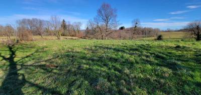 Terrain à Alzen en Ariège (09) de 1030 m² à vendre au prix de 40000€ - 3