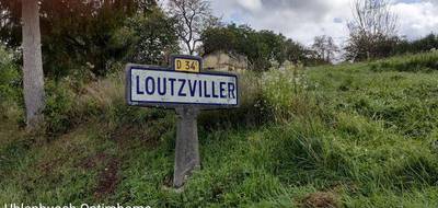 Terrain à Loutzviller en Moselle (57) de 1592 m² à vendre au prix de 36000€ - 1