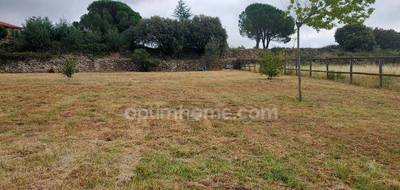 Terrain à Arboussols en Pyrénées-Orientales (66) de 1000 m² à vendre au prix de 116000€ - 4