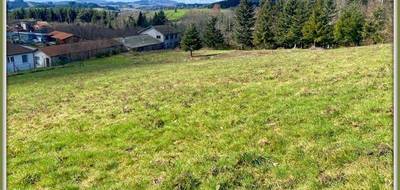 Terrain à Arconsat en Puy-de-Dôme (63) de 7554 m² à vendre au prix de 46000€ - 3