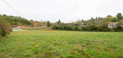 Terrain à Castres en Tarn (81) de 1711 m² à vendre au prix de 84000€ - 3