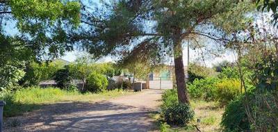 Terrain à Canet en Hérault (34) de 500 m² à vendre au prix de 170000€ - 1