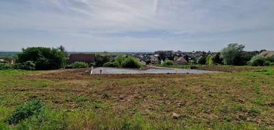 Terrain à Colmar en Haut-Rhin (68) de 1000 m² à vendre au prix de 298000€ - 3