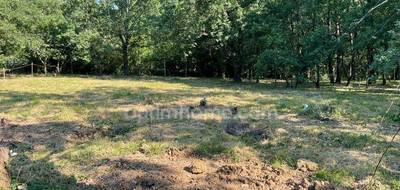 Terrain à Montaigut-sur-Save en Haute-Garonne (31) de 901 m² à vendre au prix de 169000€ - 4