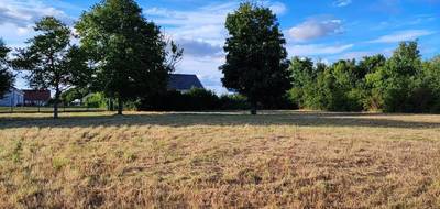 Terrain à La Charité-sur-Loire en Nièvre (58) de 906 m² à vendre au prix de 25000€ - 1