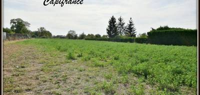 Terrain à Dornes en Nièvre (58) de 4368 m² à vendre au prix de 86000€ - 2