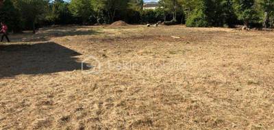 Terrain à Callian en Var (83) de 2300 m² à vendre au prix de 280000€ - 1