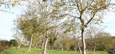 Terrain à Charolles en Saône-et-Loire (71) de 2900 m² à vendre au prix de 29000€ - 3