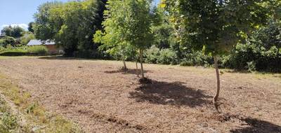 Terrain à Montsalvy en Cantal (15) de 1110 m² à vendre au prix de 28000€ - 3