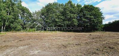 Terrain à Vrigny en Loiret (45) de 7969 m² à vendre au prix de 49990€ - 1
