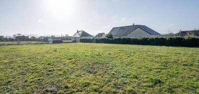 Terrain à Larré en Orne (61) de 12000 m² à vendre au prix de 99000€ - 2